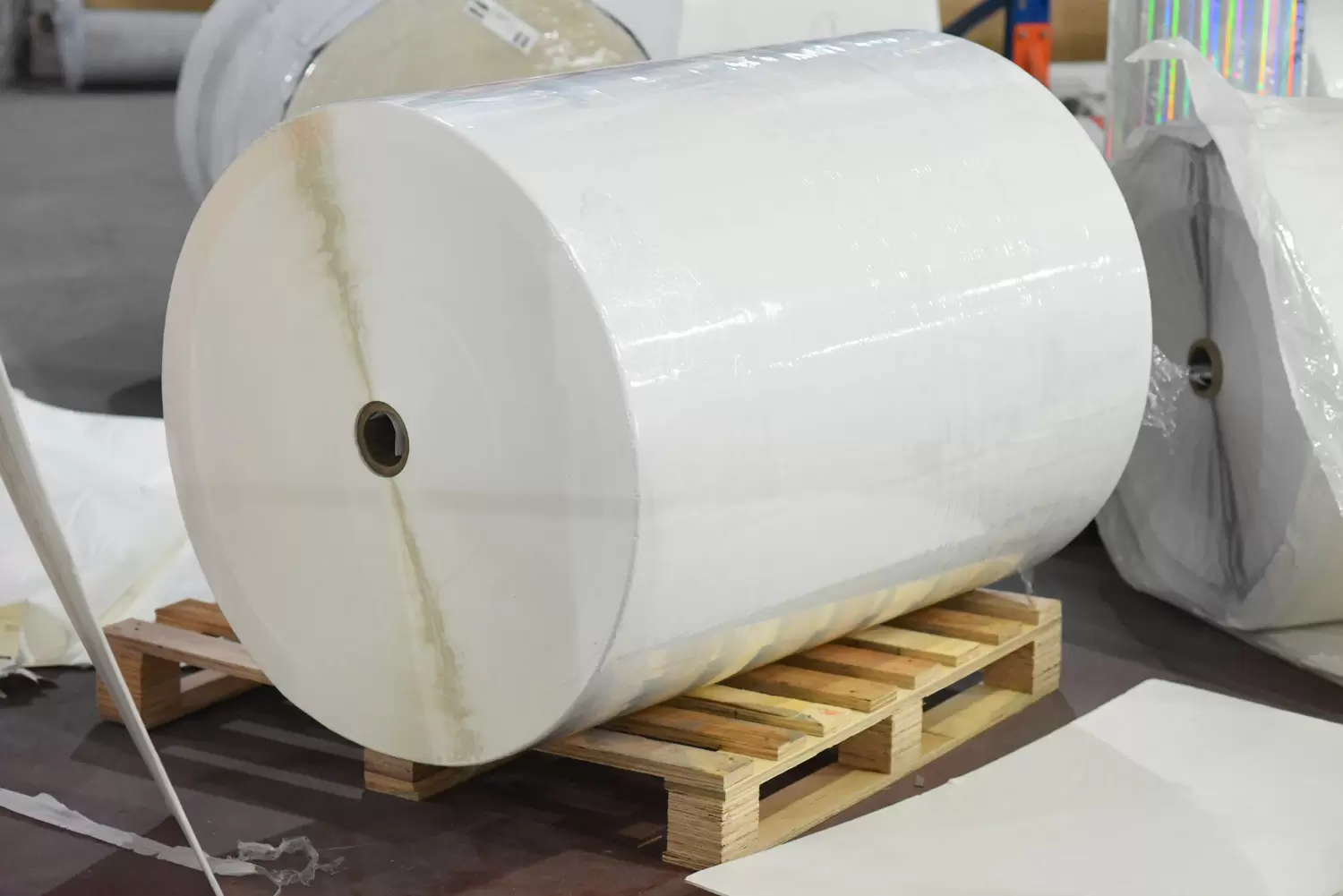 75PP合成纸/水胶60g白格 PC4307W24 卷材