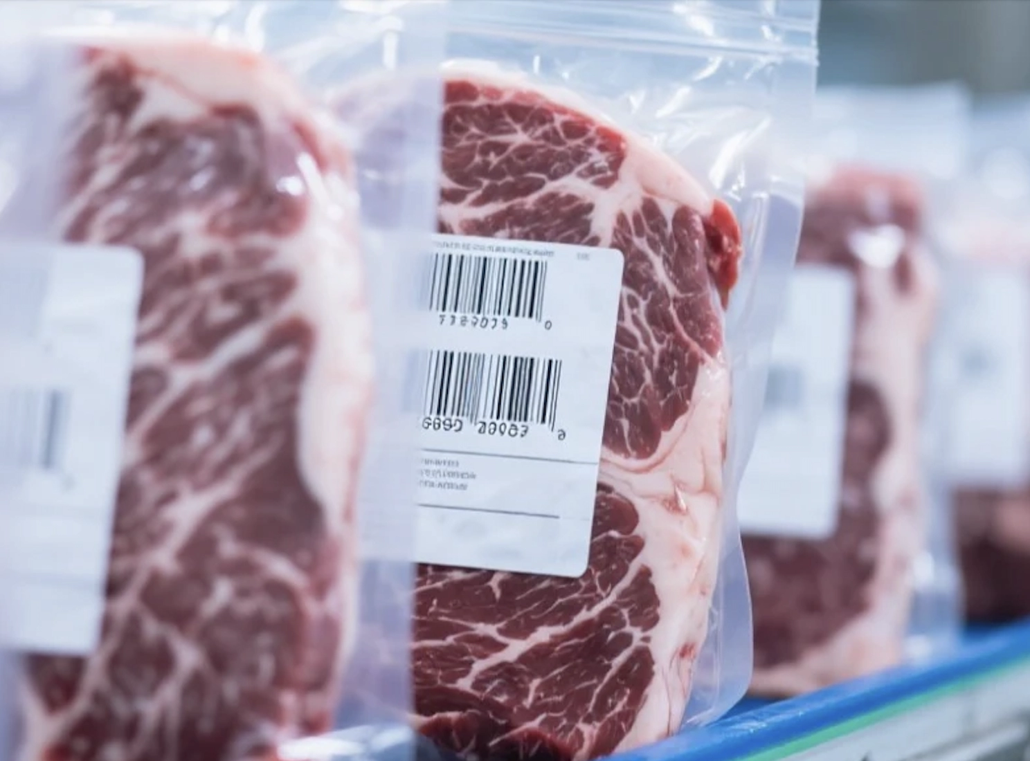 冷链与工业场景下的标签失效困局：如何解决极端环境中的标识断链危机？